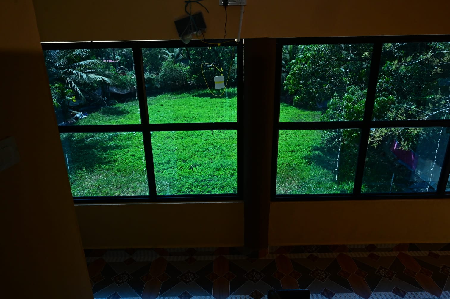 Natural Sunlight in Grove